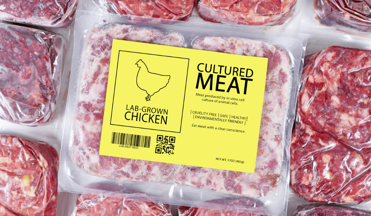 Lab-grown meat companies