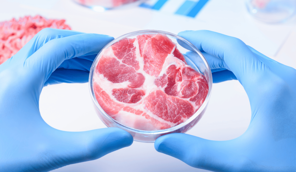 lab-grown meat companies